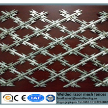 Chine Concertina Wire Fournisseur